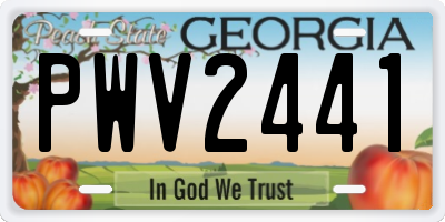 GA license plate PWV2441