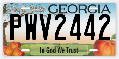 GA license plate PWV2442