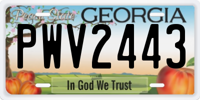 GA license plate PWV2443