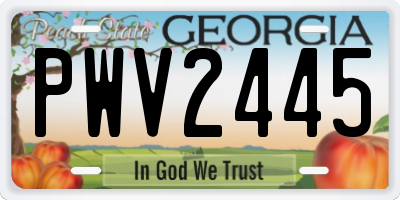 GA license plate PWV2445