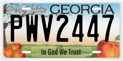 GA license plate PWV2447