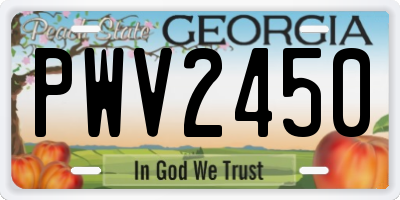 GA license plate PWV2450