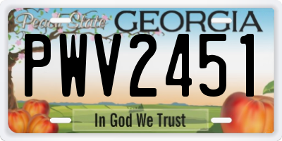 GA license plate PWV2451