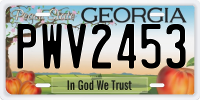 GA license plate PWV2453