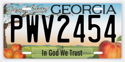 GA license plate PWV2454