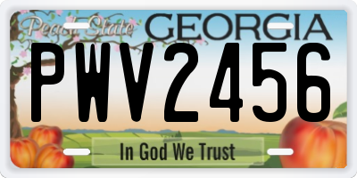 GA license plate PWV2456