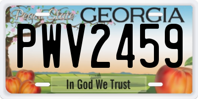 GA license plate PWV2459