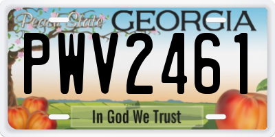 GA license plate PWV2461