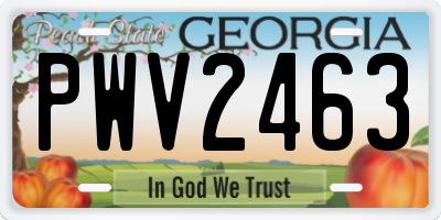 GA license plate PWV2463