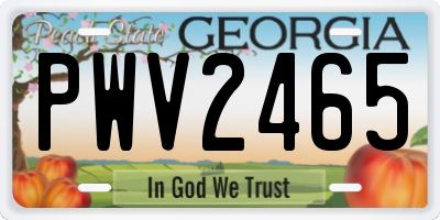 GA license plate PWV2465