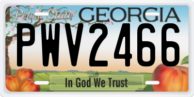 GA license plate PWV2466