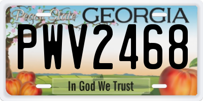 GA license plate PWV2468