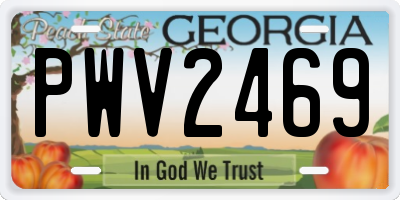 GA license plate PWV2469