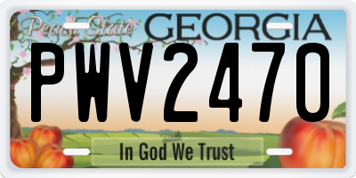 GA license plate PWV2470