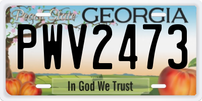 GA license plate PWV2473