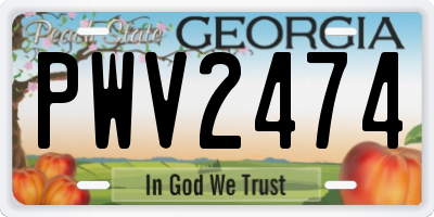GA license plate PWV2474