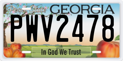 GA license plate PWV2478
