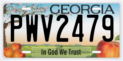 GA license plate PWV2479
