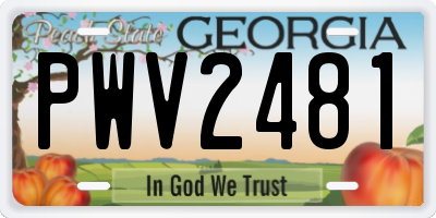 GA license plate PWV2481