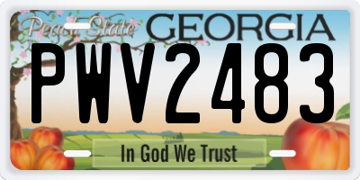 GA license plate PWV2483