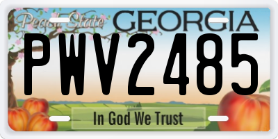 GA license plate PWV2485