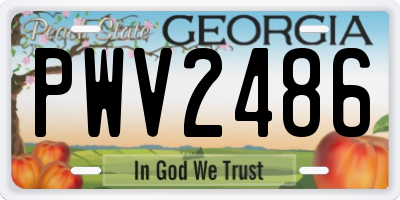 GA license plate PWV2486
