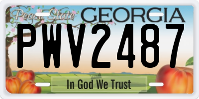 GA license plate PWV2487