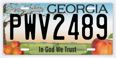 GA license plate PWV2489