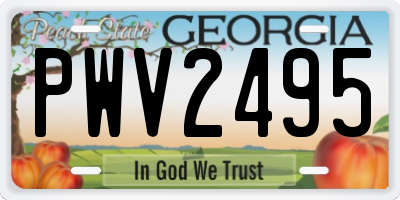 GA license plate PWV2495