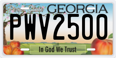 GA license plate PWV2500