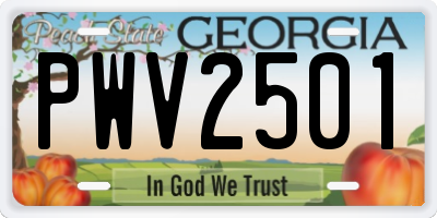 GA license plate PWV2501