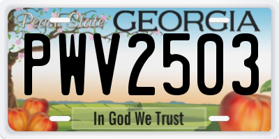 GA license plate PWV2503