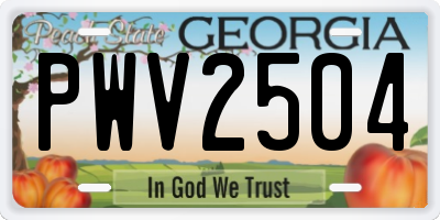 GA license plate PWV2504