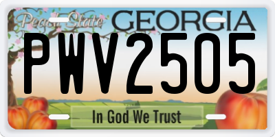 GA license plate PWV2505
