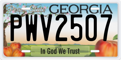 GA license plate PWV2507