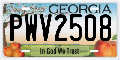 GA license plate PWV2508