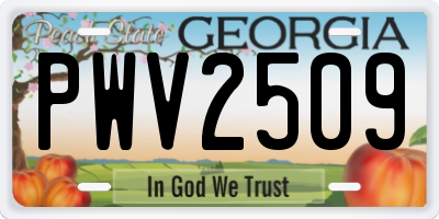 GA license plate PWV2509