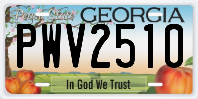 GA license plate PWV2510