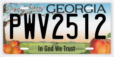 GA license plate PWV2512