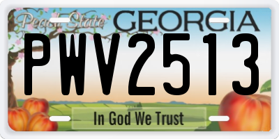 GA license plate PWV2513