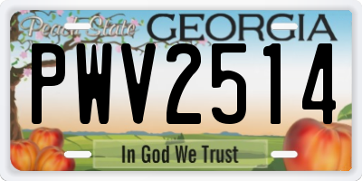 GA license plate PWV2514