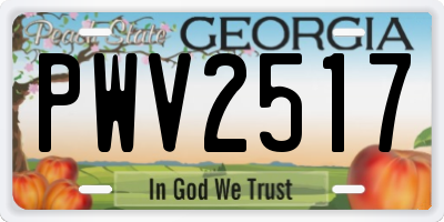 GA license plate PWV2517