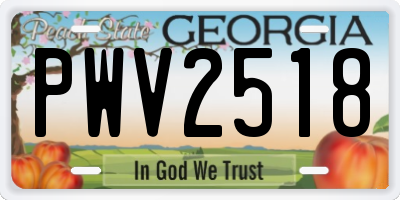 GA license plate PWV2518