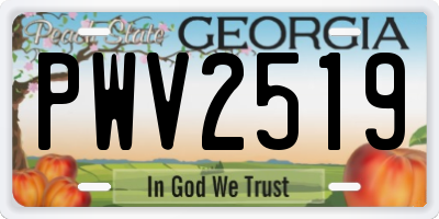 GA license plate PWV2519