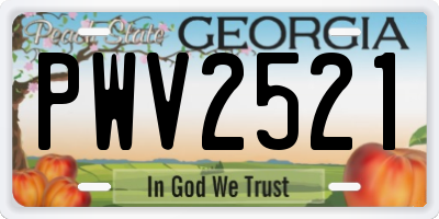 GA license plate PWV2521
