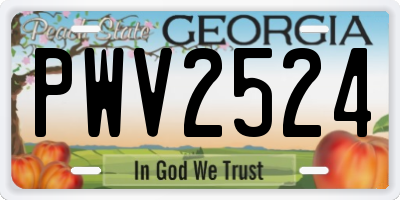 GA license plate PWV2524