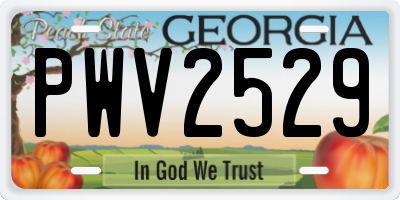 GA license plate PWV2529