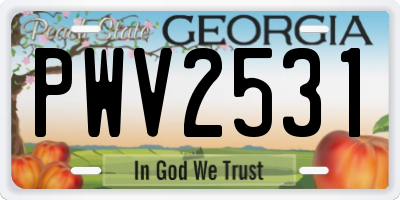 GA license plate PWV2531
