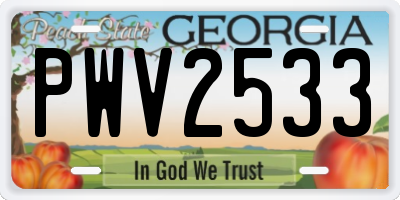 GA license plate PWV2533
