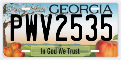 GA license plate PWV2535
